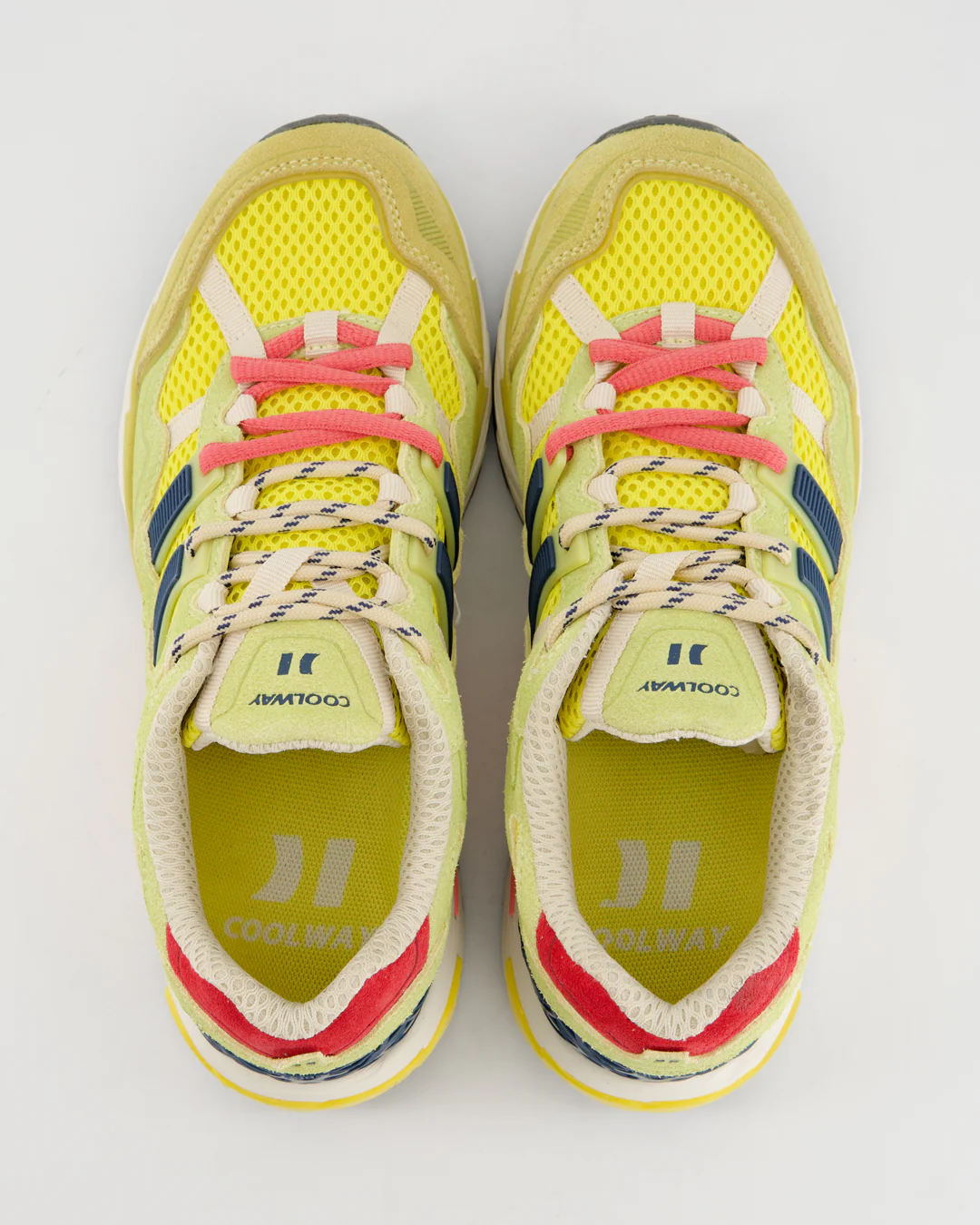 2003 Neon Pulse - Image 6
