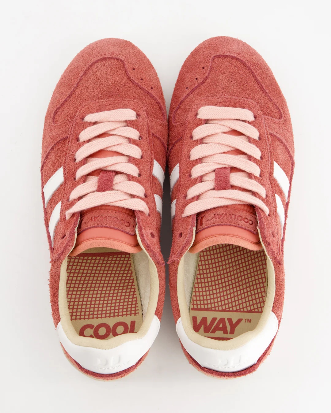 Switzer Red Rush - Image 3